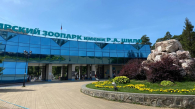 Дети смогут бесплатно посетить Новосибирский зоопарк 1 июня