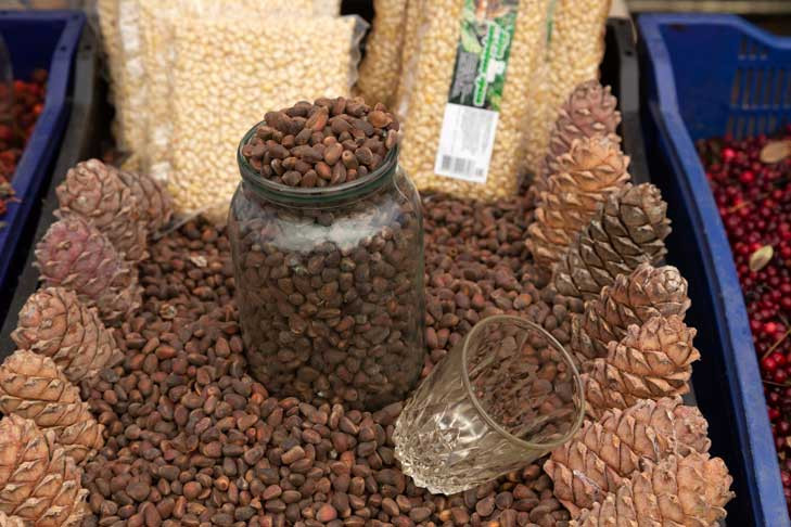 Ореховый Спас-2025: суточную норму орехов назвали новосибирцам