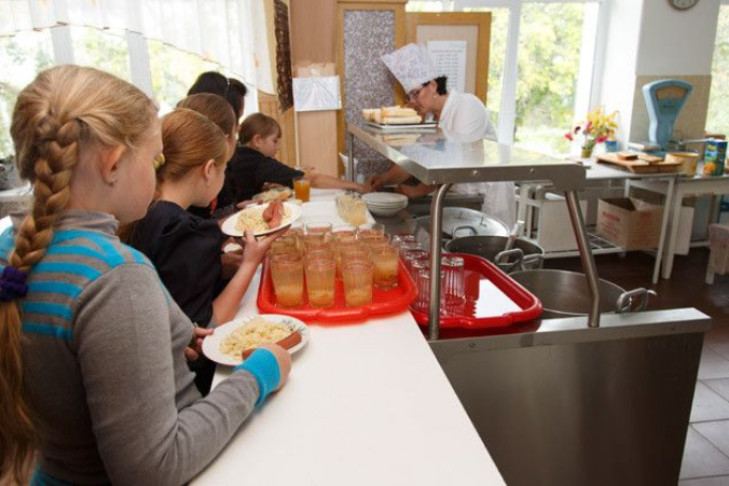 Контроль над организацией питания усилят в школах Новосибирской области