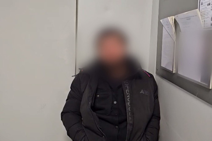 Матерщинника задержали полицейские на борту самолета «Норильск – Новосибирск»