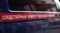 Шестимесячная девочка умерла в машине, пока родители отдыхали у реки в Кузбассе