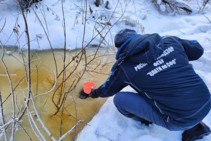 Фекалии из психбольницы загрязнили реку Нарнисту в Новосибирске