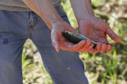 Запрет на рыбалку вступает в силу в Новосибирске с 20 апреля