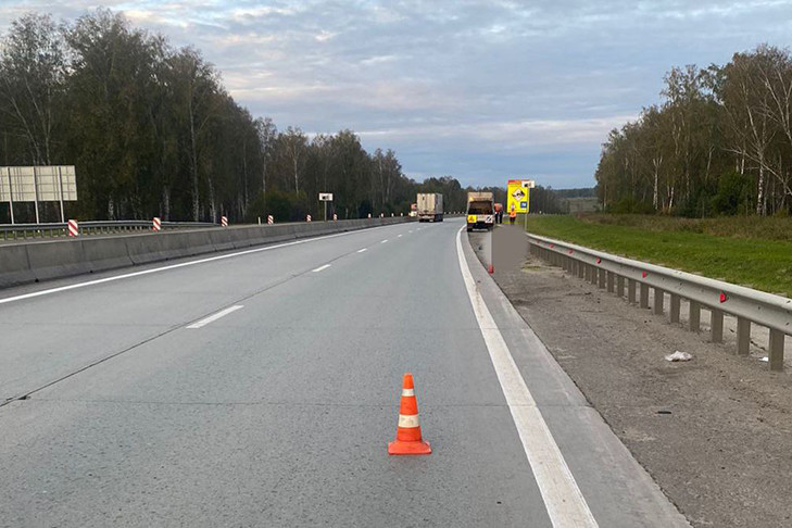 Еще один пешеход без световозвращающих элементов погиб в ДТП под Новосибирском