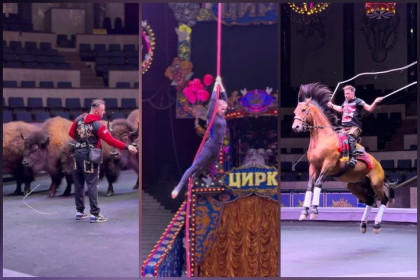 Рекорды под куполом: артисты Гии Эрадзе удивили Новосибирск необычными трюками