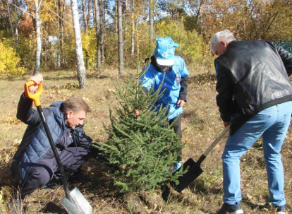 В сквере “Солнышко” у бердского роддома высадили 245 деревьев