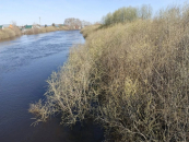 Контроль над водозащитными дамбами в Куйбышевском районе ведется квадрокоптерами