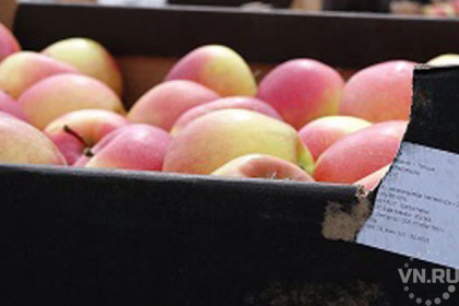 Тонну польских яблок раздавили бульдозером в Новосибирске 