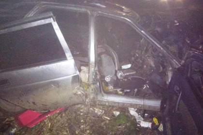 Пассажиры травмированы, водитель погиб – смертельное ДТП в Чановском районе