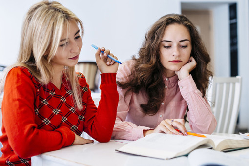 Спрос на репетиторов по физике в СФО вырос в 2,5 раза за год