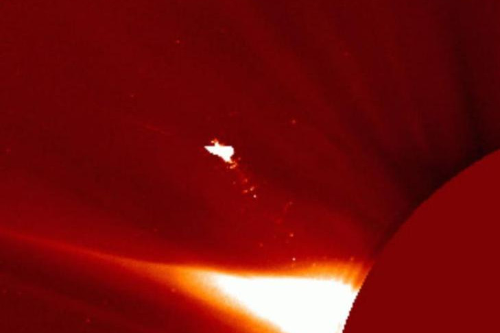 Гигантскую птицу на Солнце прокомментировали в Новосибирском планетарии