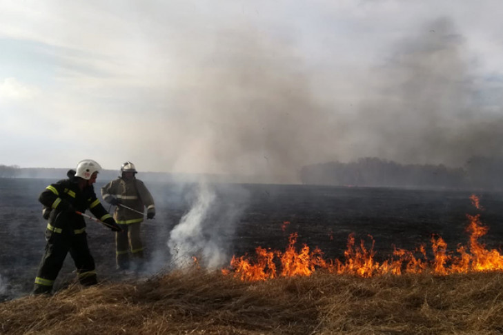 Огонь остановили в 1 км от села в Барабинском районе