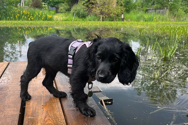 Вторая волна активности клещей началась в Новосибирске