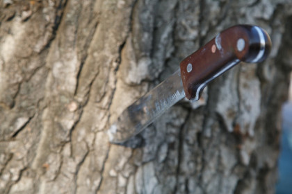 Отец школьницы с ножом назвал свою версию происшествия в Кудряшовском лесу