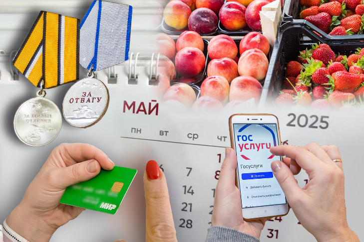 Рост пенсий и порядок начисления пособий: что изменится с мая-2025 в Новосибирске