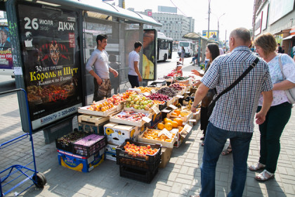 Где опаснее всего покупать фрукты и овощи в Новосибирске