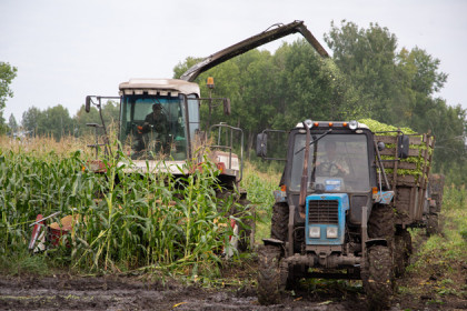 18 «Патриотов» и трактор вручат районам ко Дню урожая-2018
