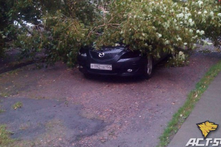 Ураган повалил деревья и нарушил работу светофоров в Новосибирске
