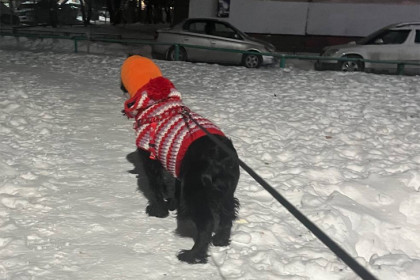 Прогноз погоды на 17-18 января в Новосибирске сделали синоптики