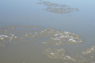 Власти рассказали, когда новосибирцам ждать паводка в 2026 году