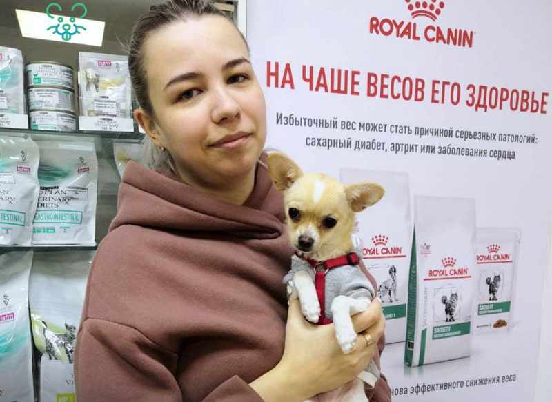 Самую маленькую собаку в мире спасли врачи в Новосибирске 