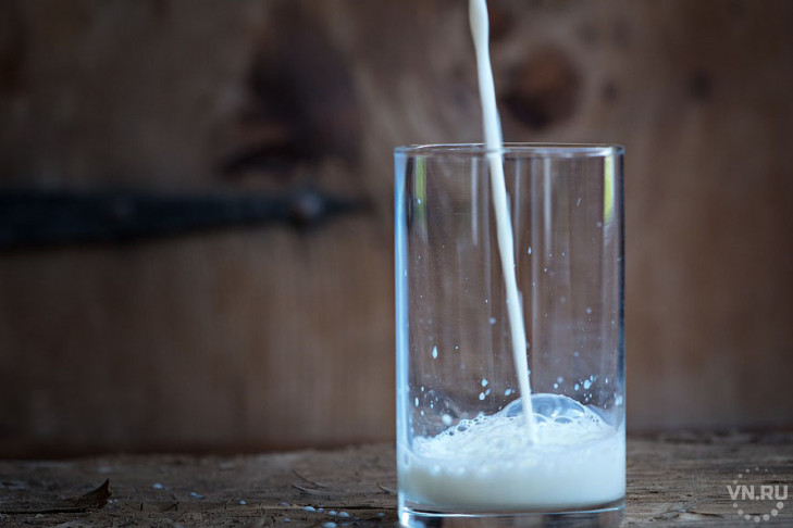 Синеватое молоко появится в Новосибирской области