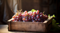 Россельхознадзор изъял 94 тонны винограда и томатов с прилавков Новосибирска