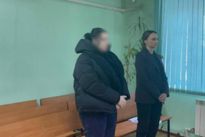 Высшей меры не будет: адвокат Денисов о наказании для матери мальчика из помойки