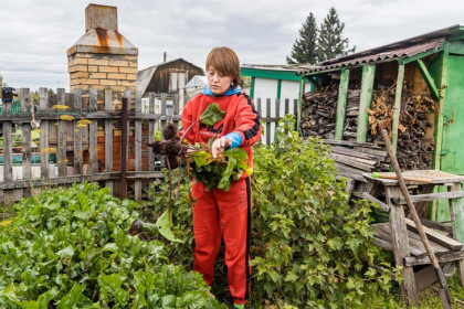 Призрак председателя: аферисты нагло обманывают дачников Новосибирска