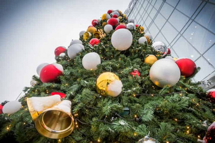 Пункты сбора новогодних елок заработали с 9 января в Новосибирске