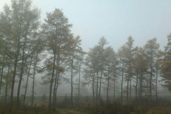 Опасный туман накрыл 17 октября Новосибирск 