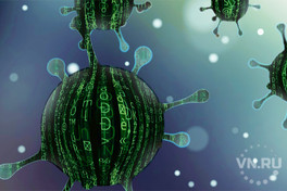 Как обезопасить свой компьютер от вирусных атак