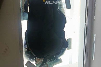 Вооруженные бандиты ломились в дом к детям в селе под Новосибирском