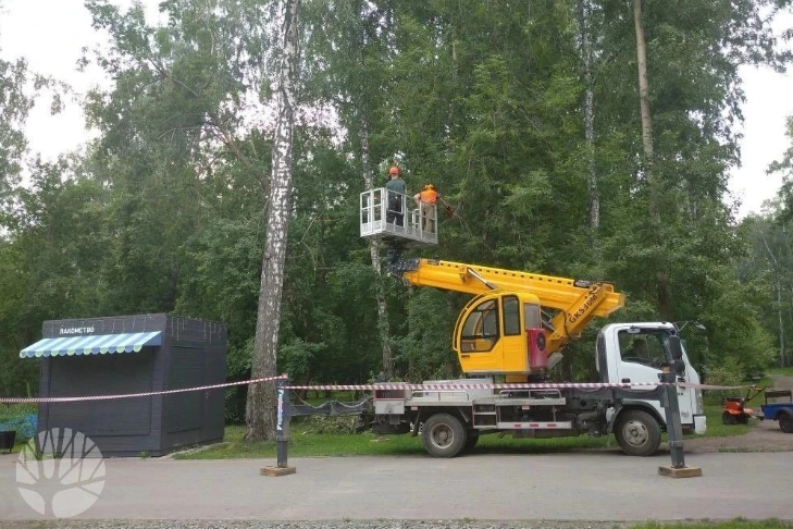 Фото дирекции городских парков