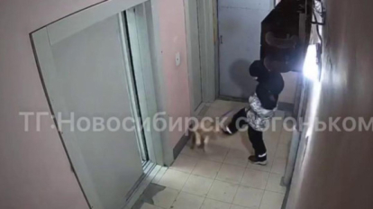В Новосибирске школьник отпинал собаку в подъезде – жестокие кадры