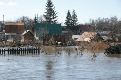 Экстренное предупреждение – река Майзас вышла из берегов в Кыштовском районе