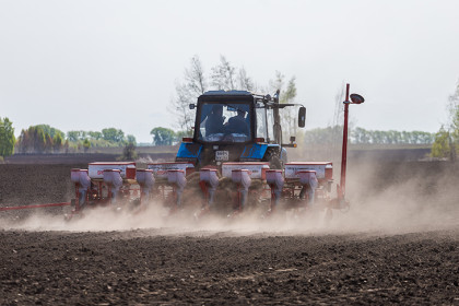 Итоги 2025 года в сельском хозяйстве: как развивался частный агросегмент в Новосибирской области