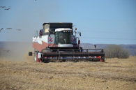 Урожай убирают аграрии Искитимского района
