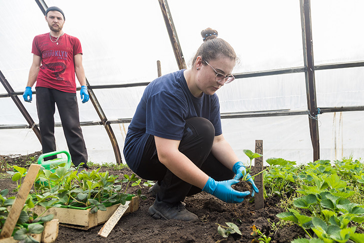 Кадры в растениеводстве: число вакансий в 2025 года увеличилось вдвое, самые востребованные специалисты — агрономы