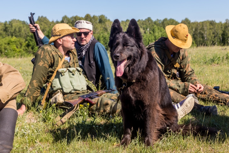 В Новосибирской области застрелят более 500 медведей и барсуков