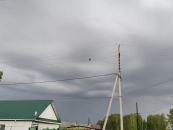 Самой холодной в Новосибирской области станет ночь с 12 на 13 мая