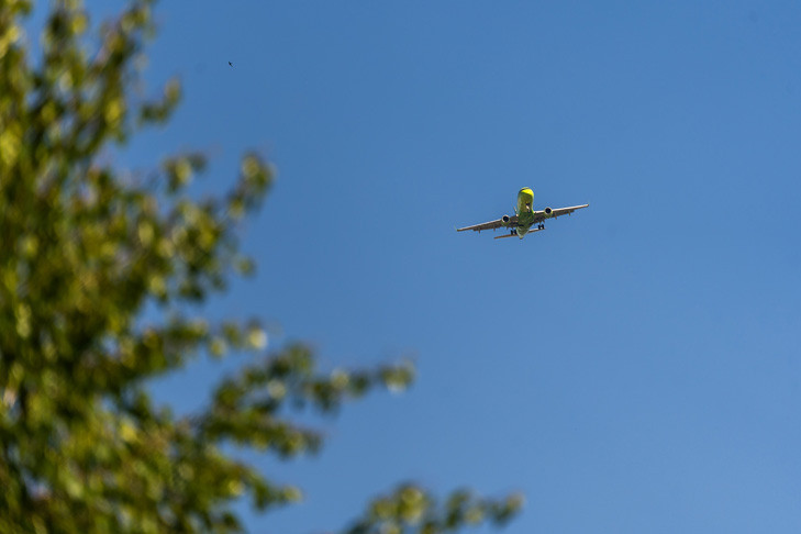Медсестра из Краснообска спасла пассажирку на борту самолета Новосибирск — Минводы