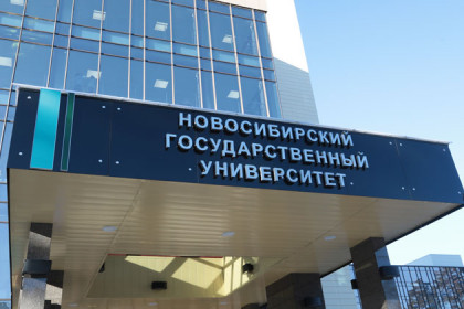 Президентские гранты на 16,8 млн рублей получили ученые Академгородка