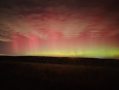 Рекордное количество магнитных бурь в 2025 году произошло в Новосибирской области