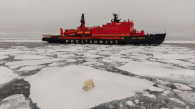 Подросток из Новосибирска вернулся из арктической экспедиции