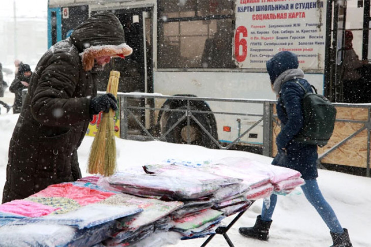 Погода 27-31 января в Новосибирске: сначала метели, потом морозы