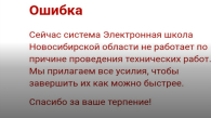 Новосибирцы столкнулись с проблемами в работе электронных дневников