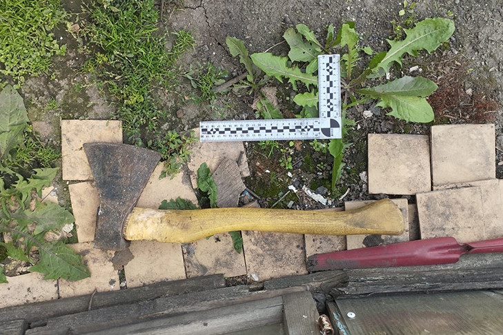 Сжал шею руками: житель Барабинска попал под суд за попытку убийства матери