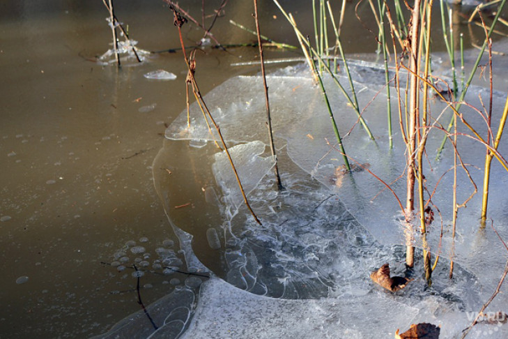 Озеро возле барахолки защищают от нечистот новосибирцы