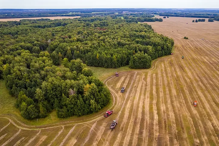Почти 2,5 млн тонн зерна намолотили аграрии в Новосибирской области